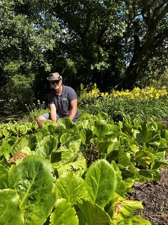 Weekly catch up with garden & propagation