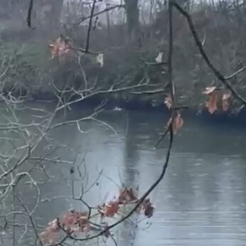 Wild Words from the Ground - December/January