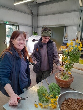 Weekly catch up with garden & propagation