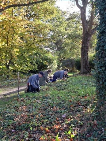 Weekly catch up with garden & propagation Weekly catch up with garden & propagation