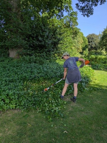 Weekly catch up with garden & propagation