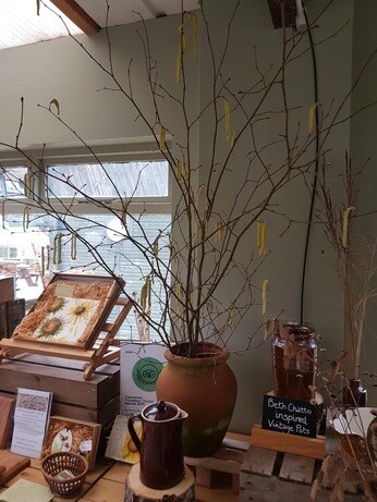 Weekly catch up with garden & propagation