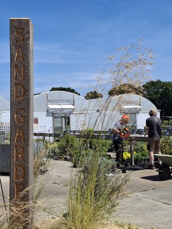 Weekly catch up with garden and propagation