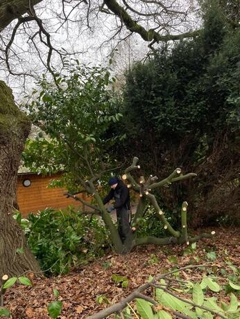 A look back at 2025 with the garden team A look back at 2025 with the garden team