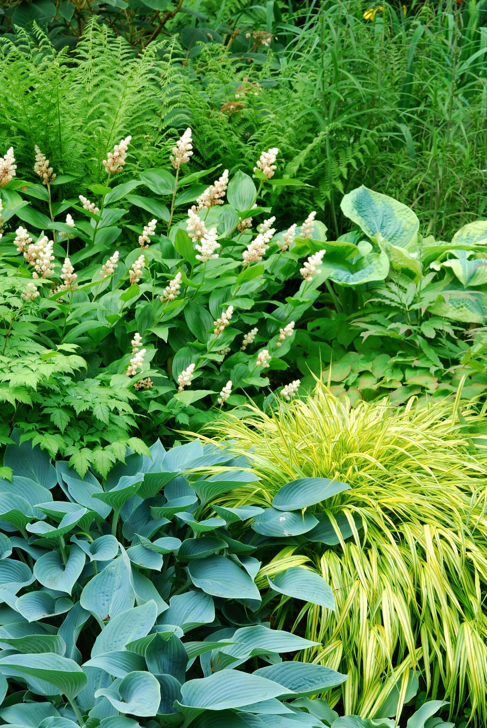 Fabulous foliage