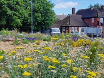 Planting on the Albert roundabout