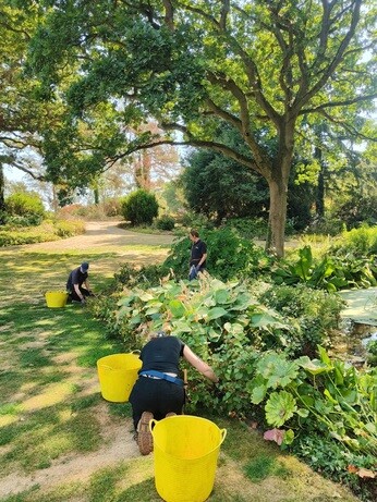 Weekly catchup with garden and propagation Weekly catchup with garden and propagation