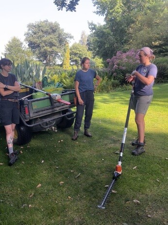 Weekly catch up with garden & propagation
