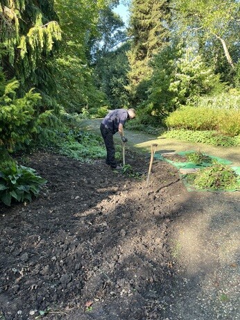 Weekly catch up with garden and propagation
