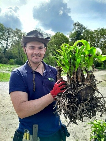 Weekly catch up with gardens & propagation