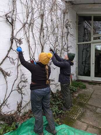 January news from the garden and propagation