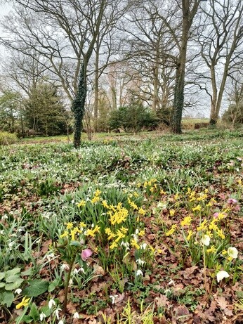 My Year as a Trainee at Beth Chatto Plants & Gardens