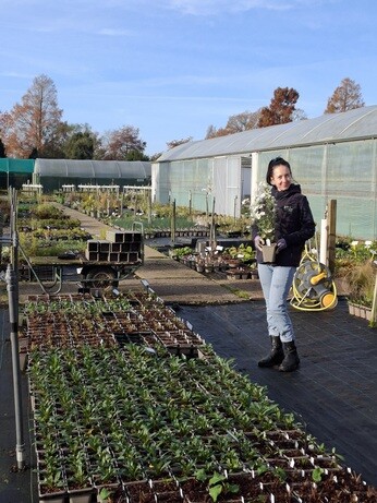 Weekly catch up with garden & propagation