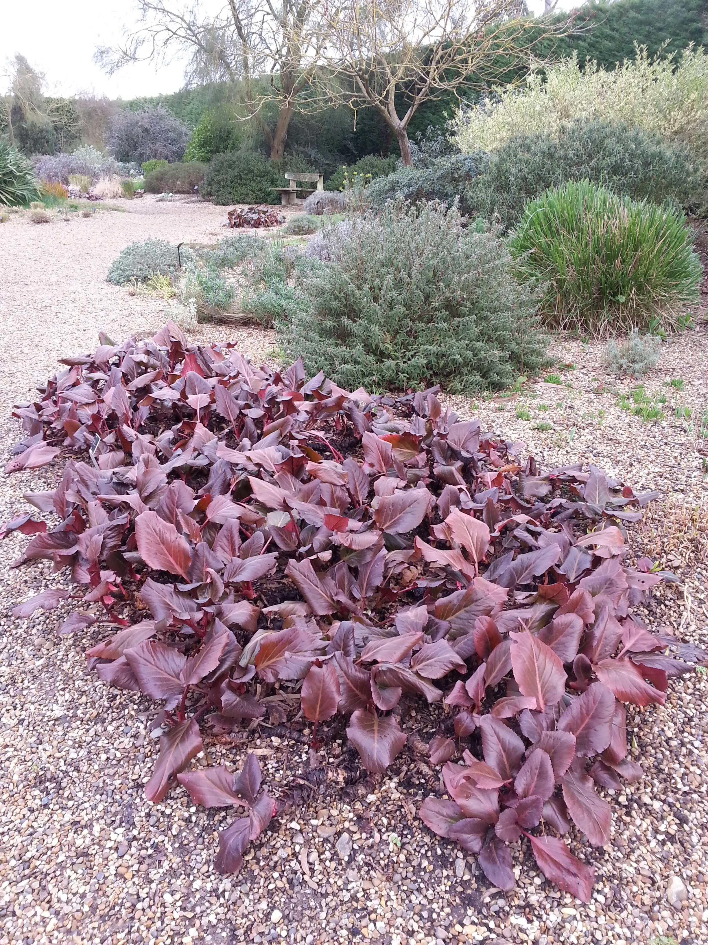 Fabulous foliage