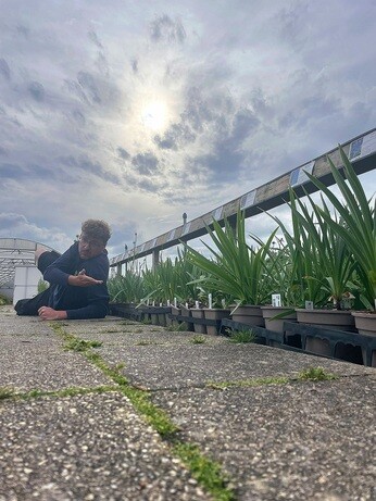 Weekly catch up with garden & propagation