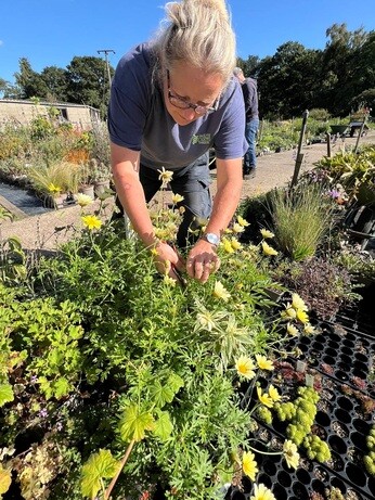 Weekly catch up with garden & propagation