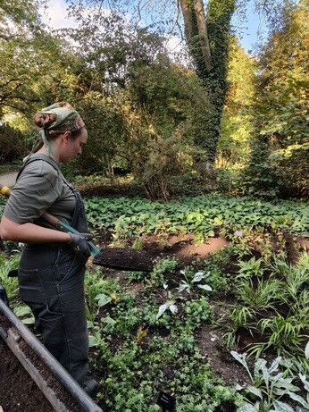 Weekly catch up with garden and propagation