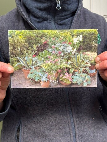 Weekly catch up with garden & propagation