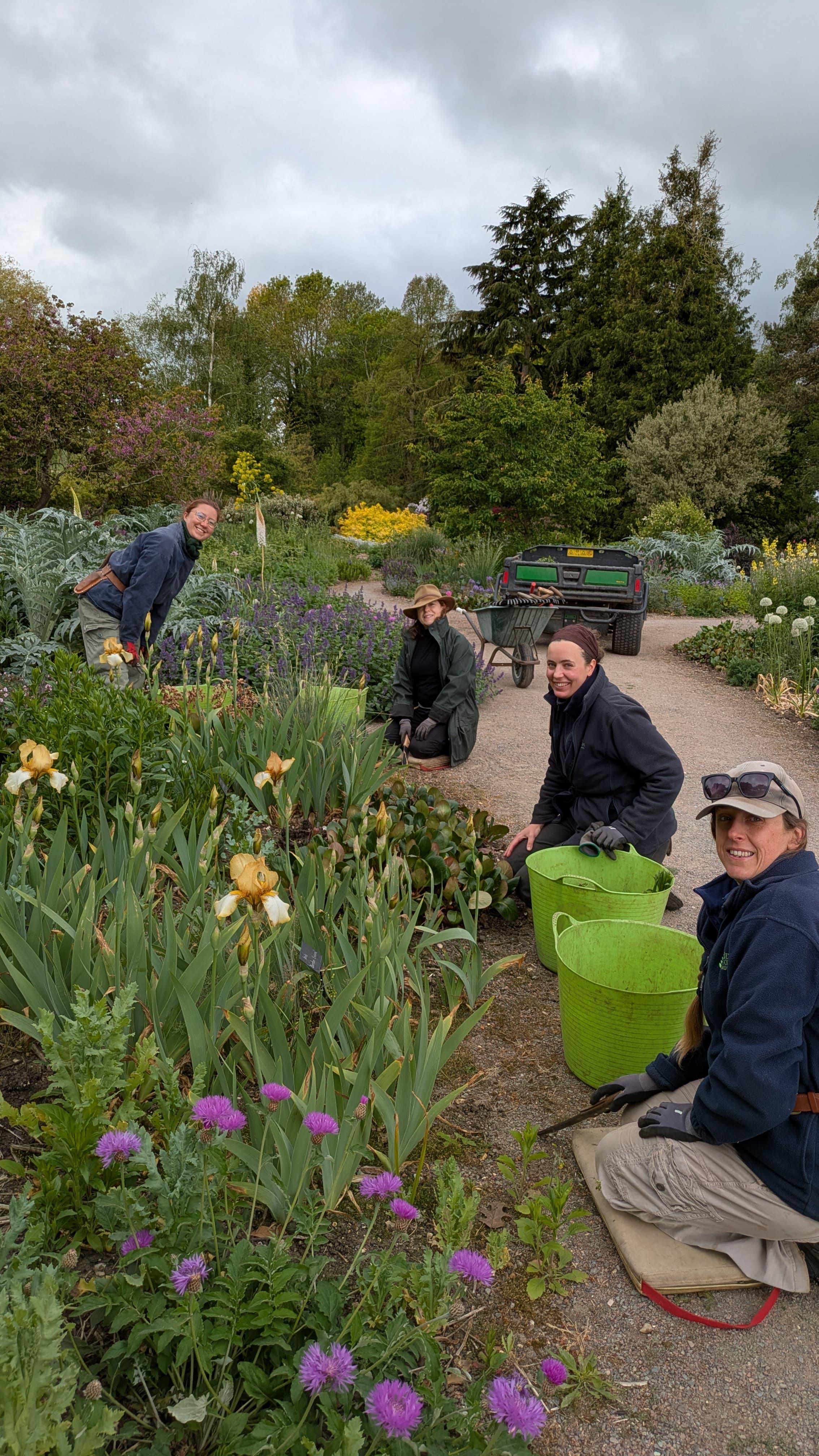 Weekly catch up with garden and propagation