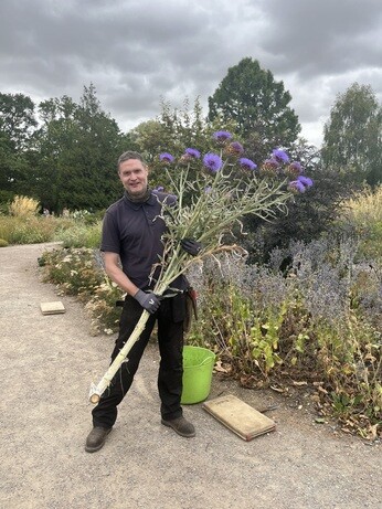 Weekly catchup with garden and propagation
