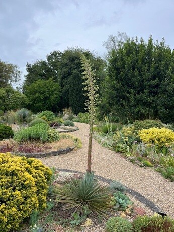 Weekly catch up with garden and propagation