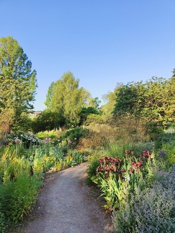 Weekly catch up with garden and propagation