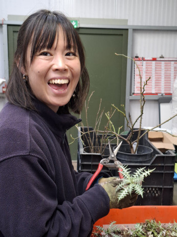 Weekly catch up with garden & propagation Weekly catch up with garden & propagation