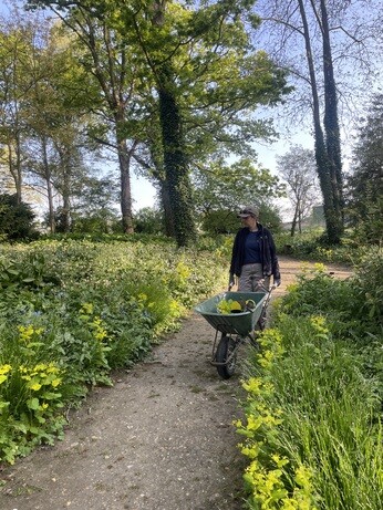 Weekly catch up with gardens & propagation Weekly catch up with gardens & propagation