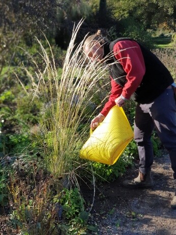 Weekly catch up with garden & propagation Weekly catch up with garden & propagation