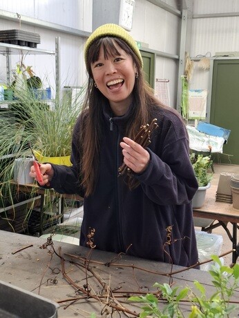 Weekly catch up with garden & propagation Weekly catch up with garden & propagation