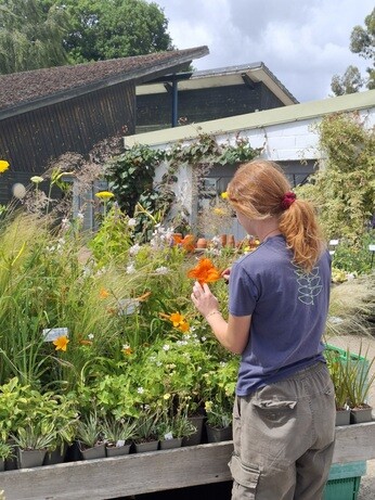Weekly catch up with garden & propagation