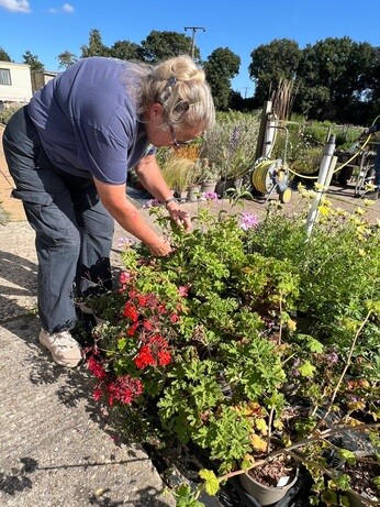 Weekly catch up with garden & propagation