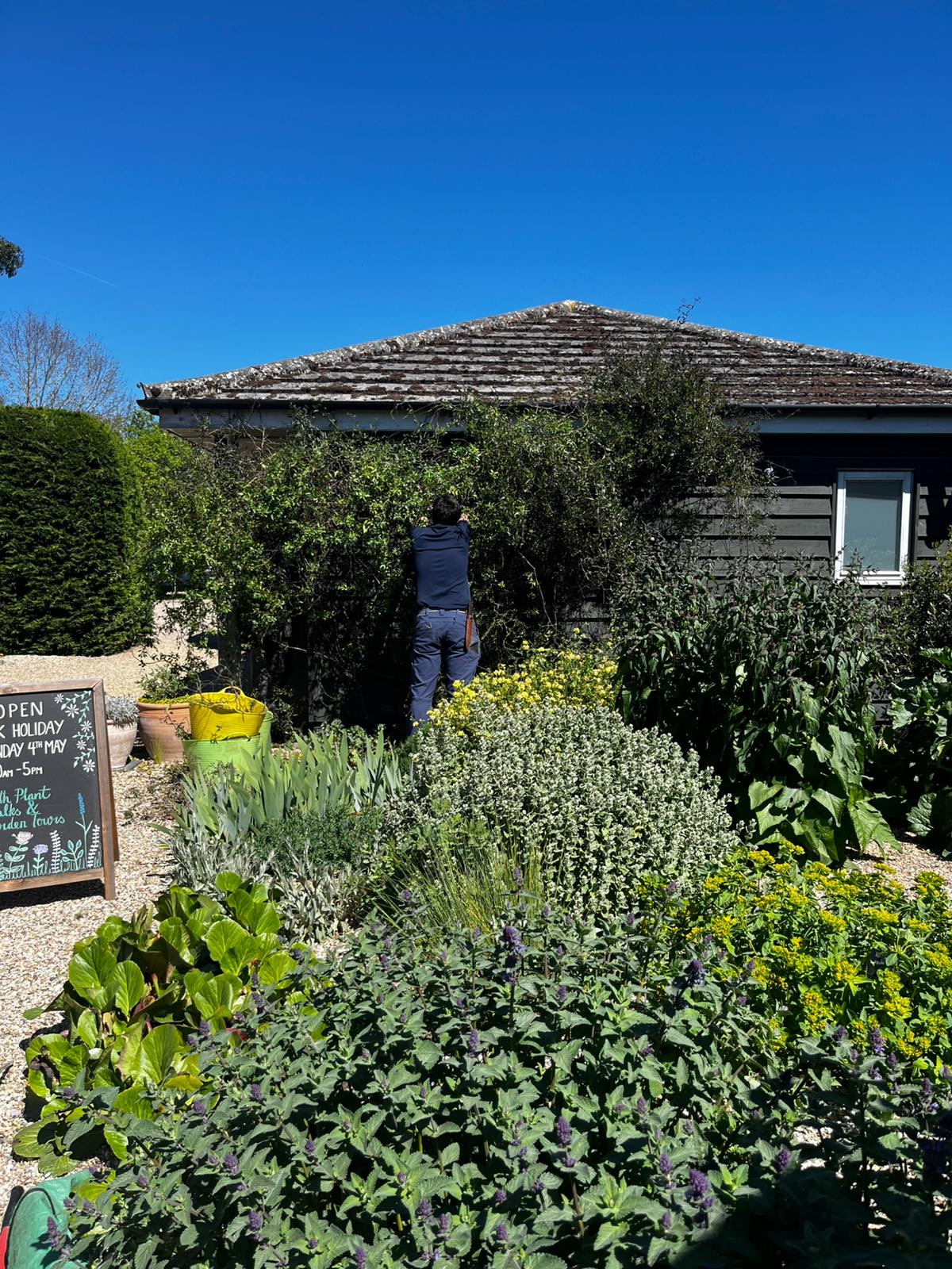 Weekly catch up with garden & propagation