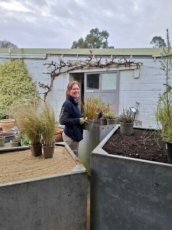 Weekly catch up with gardens & propagation Weekly catch up with gardens & propagation