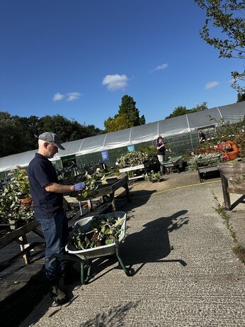 Weekly catch up with garden & propagation
