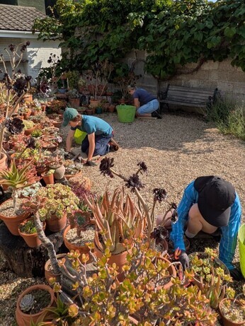 Weekly catch up with garden and propagation Weekly catch up with garden and propagation