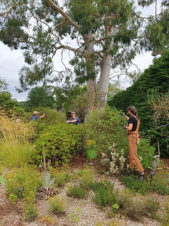 Weekly catch up with garden & propagation