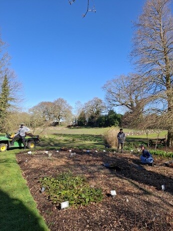 Weekly catch up with gardens & propagation 