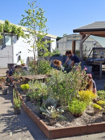 Our Chelsea inspired garden display