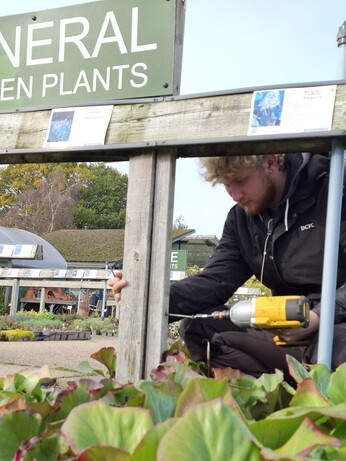 Weekly catch up with garden & propagation Weekly catch up with garden & propagation