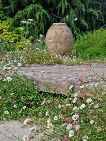 Team Chatto's favourite plants - part 3 Team Chatto's favourite plants - part 3