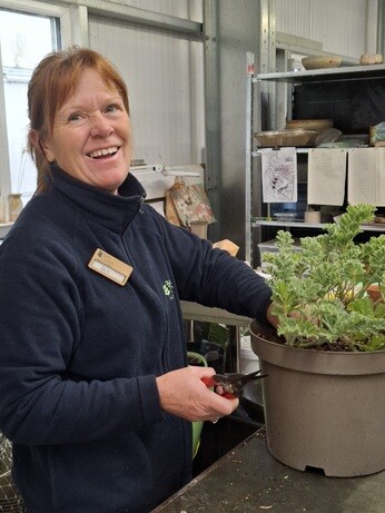 Weekly catch up with garden & propagation