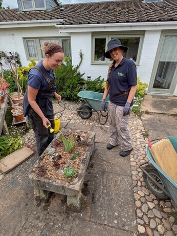 Weekly catch up with garden and propagation