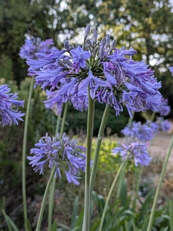 Weekly catchup with garden and propagation Weekly catchup with garden and propagation