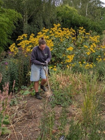 Weekly catch up with garden and propagation Weekly catch up with garden and propagation