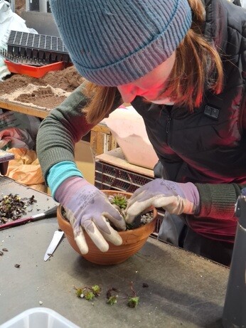 Weekly catch up with garden & propagation