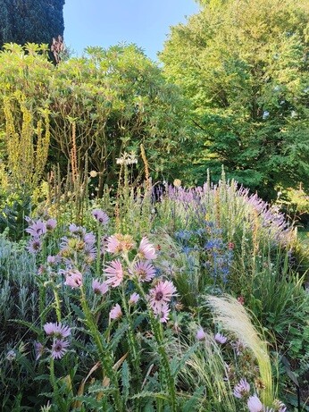 My Year as a Trainee at Beth Chatto Plants & Gardens