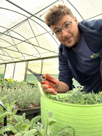 Weekly catch up with gardens & propagation