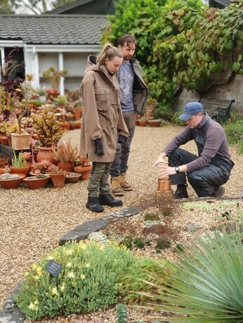 Weekly catch up with garden & propagation