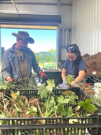 Weekly catch up with garden & propagation